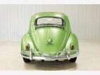 Thumbnail Photo 7 for 1960 Volkswagen Beetle